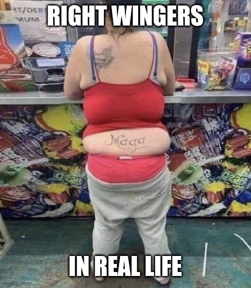 RIGHT WINGERS IN REAL LIFE | made w/ Imgflip meme maker