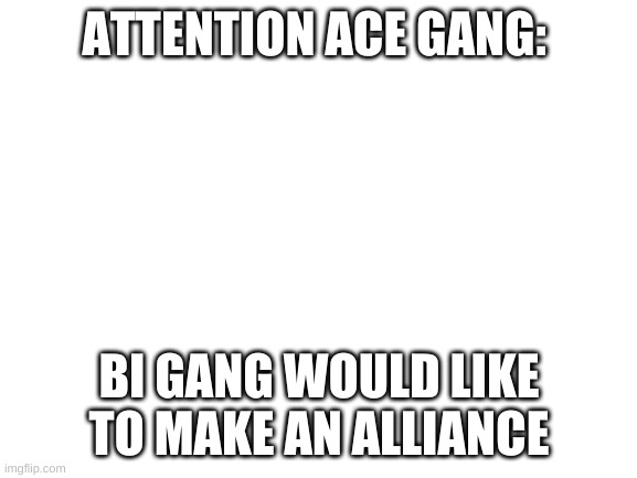 Hello | ATTENTION ACE GANG:; BI GANG WOULD LIKE TO MAKE AN ALLIANCE | image tagged in blank white template | made w/ Imgflip meme maker