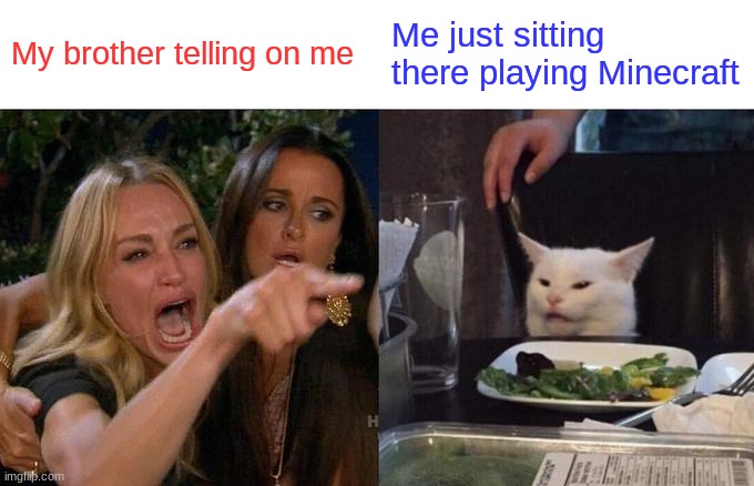 Can anyone agree? :') | My brother telling on me; Me just sitting there playing Minecraft | image tagged in memes,woman yelling at cat | made w/ Imgflip meme maker