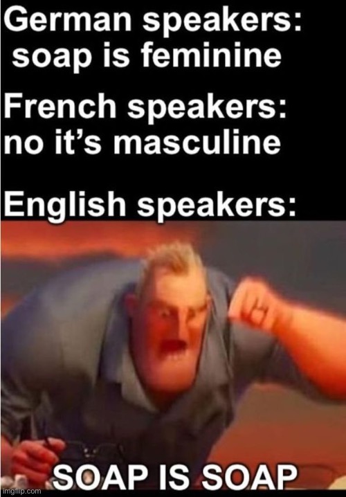 this is true, don’t get started with latin lol | image tagged in funny | made w/ Imgflip meme maker