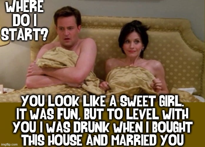 Trying to Make a Never-ending Nightmare Go Away | YOU LOOK LIKE A SWEET GIRL.
IT WAS FUN, BUT TO LEVEL WITH
YOU: I WAS DRUNK WHEN I BOUGHT
THIS HOUSE AND MARRIED YOU | image tagged in vince vance,friends,memes,marriage,matthew perry,courtney cox | made w/ Imgflip meme maker