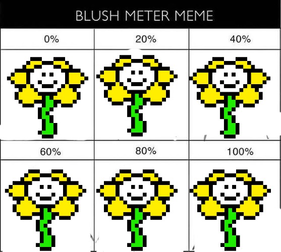 Accurate. | image tagged in blush meter meme | made w/ Imgflip meme maker