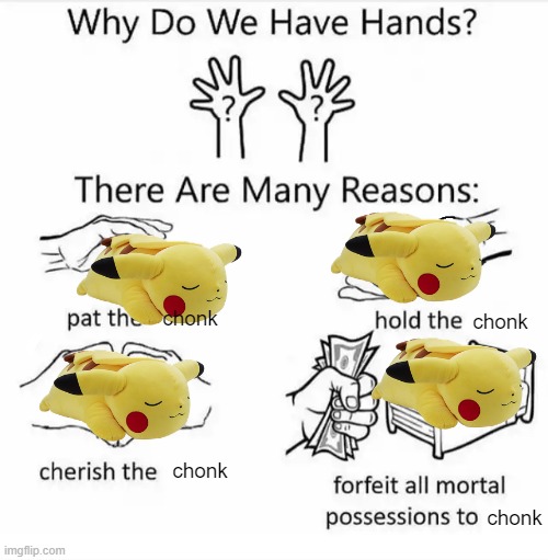 da chonk | chonk; chonk; chonk; chonk | image tagged in why do we have hands all blank,pikachu,pokemon | made w/ Imgflip meme maker