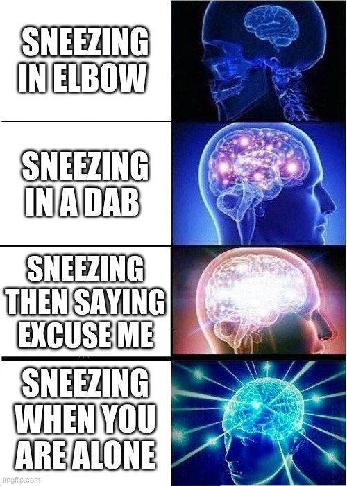 Expanding Brain | SNEEZING IN ELBOW; SNEEZING IN A DAB; SNEEZING THEN SAYING EXCUSE ME; SNEEZING WHEN YOU ARE ALONE | image tagged in memes,expanding brain | made w/ Imgflip meme maker