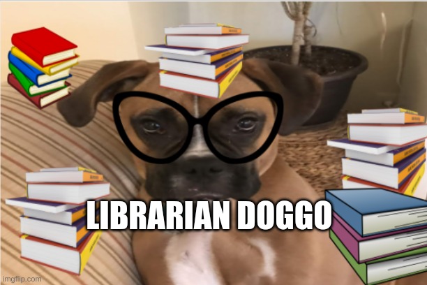 LIBRARIAN DOGGO | image tagged in dogs | made w/ Imgflip meme maker