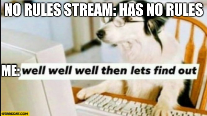 lets see then | NO RULES STREAM: HAS NO RULES; ME: | image tagged in well well well then lets find out | made w/ Imgflip meme maker