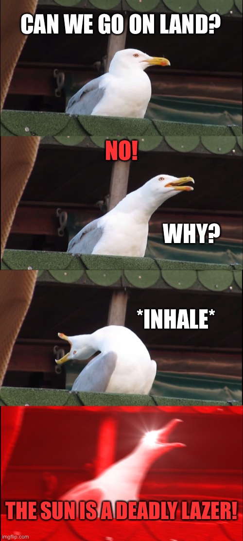 Inhaling Seagull Meme | CAN WE GO ON LAND? NO! *INHALE* THE SUN IS A DEADLY LAZER! WHY? | image tagged in memes,inhaling seagull | made w/ Imgflip meme maker