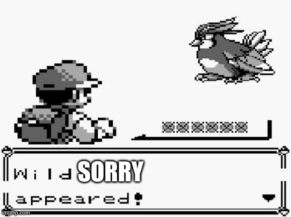 pokemon appears | SORRY | image tagged in pokemon appears | made w/ Imgflip meme maker