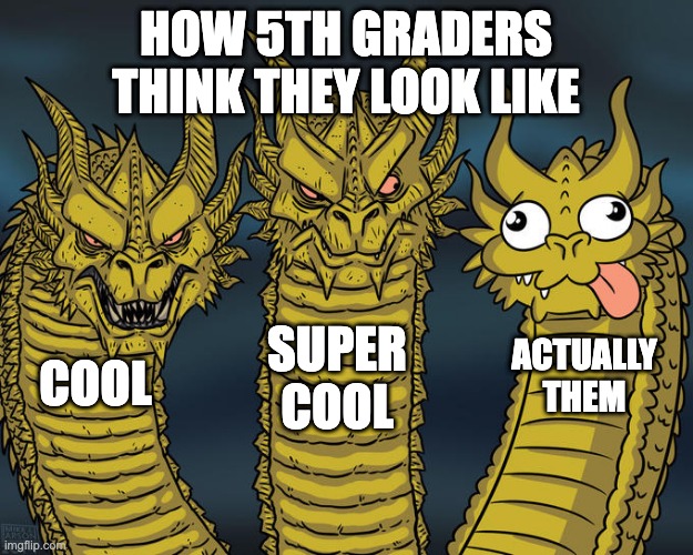 Three-headed Dragon | HOW 5TH GRADERS THINK THEY LOOK LIKE; SUPER COOL; ACTUALLY THEM; COOL | image tagged in three-headed dragon | made w/ Imgflip meme maker
