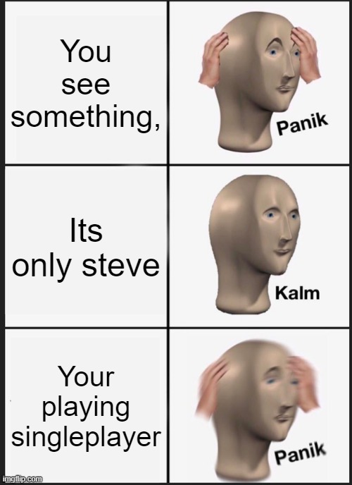 My first meme, | You see something, Its only steve; Your playing singleplayer | image tagged in memes,panik kalm panik | made w/ Imgflip meme maker