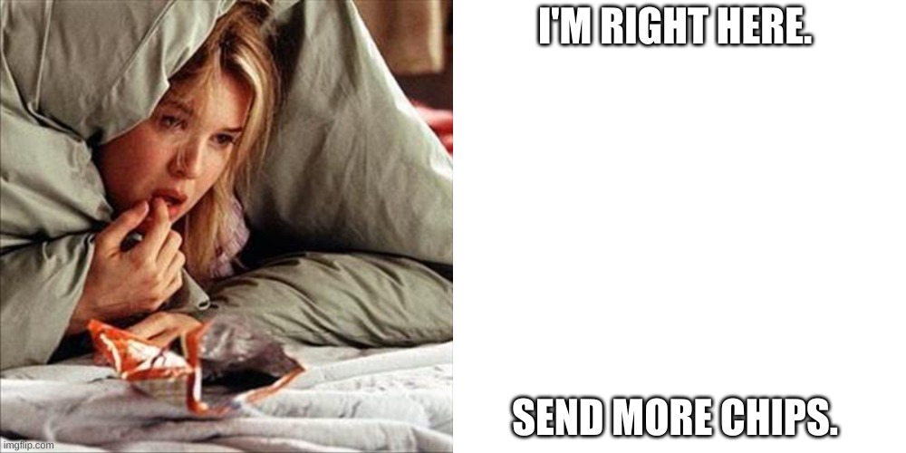 hibernating | I'M RIGHT HERE. SEND MORE CHIPS. | image tagged in memes,blank transparent square | made w/ Imgflip meme maker