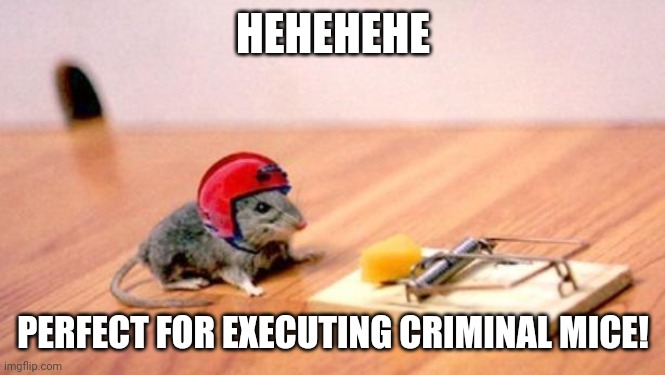 Mouse Trap | HEHEHEHE PERFECT FOR EXECUTING CRIMINAL MICE! | image tagged in mouse trap | made w/ Imgflip meme maker