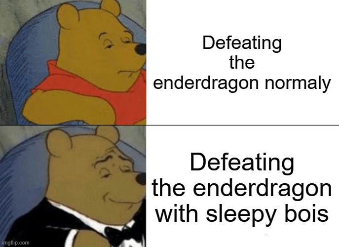 Enderdragon | Defeating the enderdragon normaly; Defeating the enderdragon with sleepy bois | image tagged in memes,tuxedo winnie the pooh | made w/ Imgflip meme maker