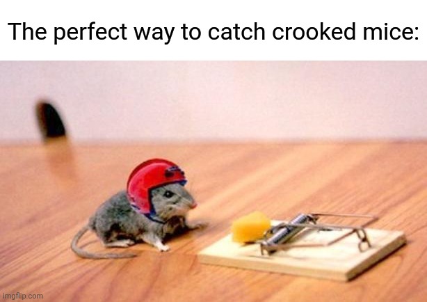 Mouse Trap | The perfect way to catch crooked mice: | image tagged in mouse trap | made w/ Imgflip meme maker