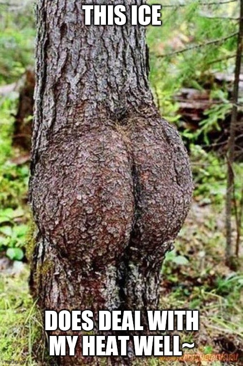 Sexy Tree | THIS ICE DOES DEAL WITH MY HEAT WELL~ | image tagged in sexy tree | made w/ Imgflip meme maker