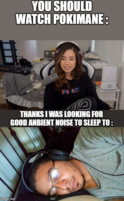  YOU SHOULD WATCH POKIMANE :; THANKS I WAS LOOKING FOR GOOD ANBIENT NOISE TO SLEEP TO : | image tagged in pokimane | made w/ Imgflip meme maker