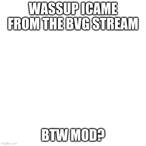 Blank Transparent Square | WASSUP ICAME FROM THE BVG STREAM; BTW MOD? | image tagged in memes,blank transparent square | made w/ Imgflip meme maker