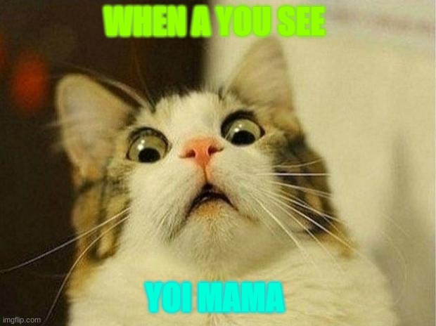 Scared Cat Meme | WHEN A YOU SEE; YOI MAMA | image tagged in memes,scared cat | made w/ Imgflip meme maker