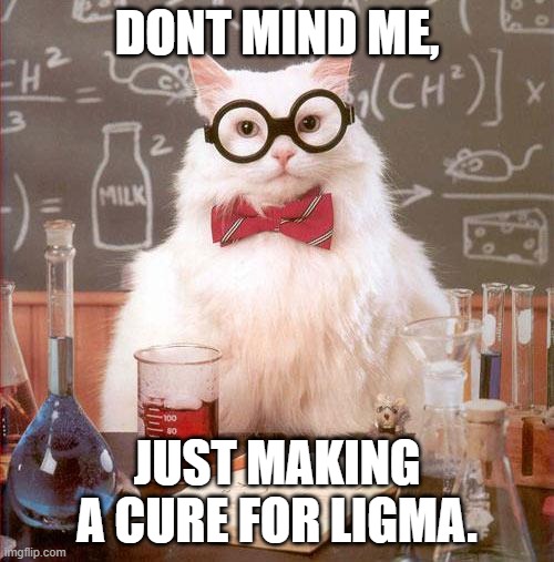 ligma cat | DONT MIND ME, JUST MAKING A CURE FOR LIGMA. | image tagged in science cat | made w/ Imgflip meme maker