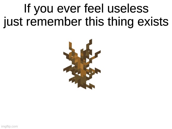 There just useless sometimes | If you ever feel useless just remember this thing exists | image tagged in blank white template,minecraft,bush,memes | made w/ Imgflip meme maker