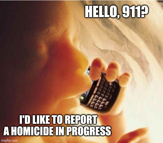 I see your coat hanger and raise you a life | HELLO, 911? I'D LIKE TO REPORT A HOMICIDE IN PROGRESS | image tagged in fetus phone,murder,support the rights of unborn women | made w/ Imgflip meme maker