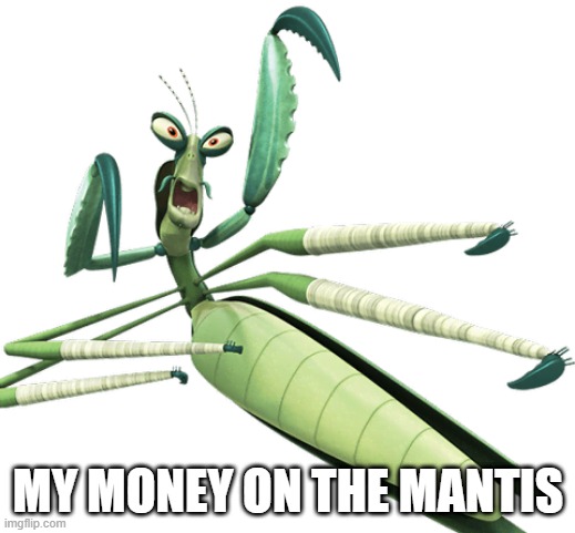 MY MONEY ON THE MANTIS | made w/ Imgflip meme maker