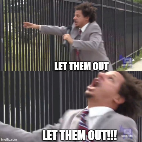 let me in | LET THEM OUT LET THEM OUT!!! | image tagged in let me in | made w/ Imgflip meme maker