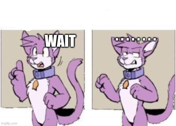 Furry hold on | WAIT . . . . . . . . | image tagged in furry hold on | made w/ Imgflip meme maker