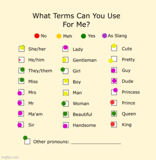 Pronouns Sheet | image tagged in pronouns sheet | made w/ Imgflip meme maker