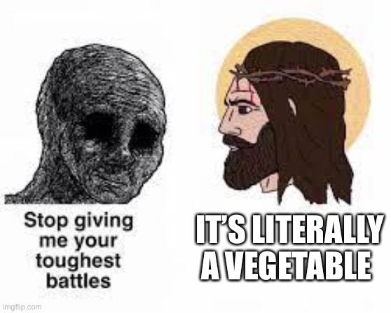 Pls use my template | IT’S LITERALLY A VEGETABLE | image tagged in stop giving me your toughest battles,memes,funny,troll face,jesus | made w/ Imgflip meme maker