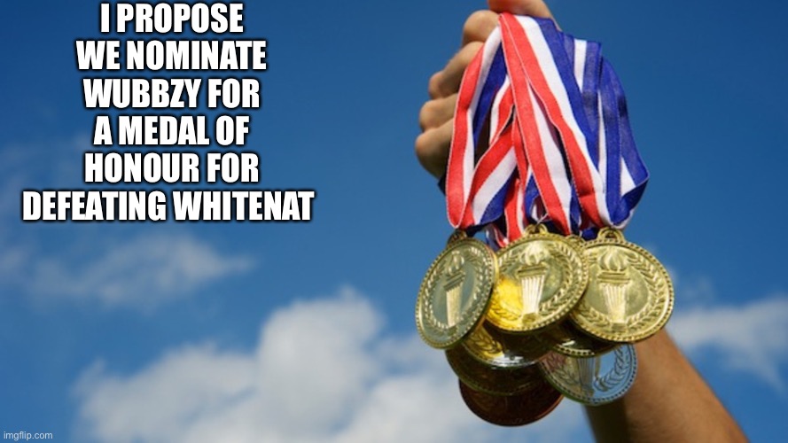 Gold Medals | I PROPOSE WE NOMINATE WUBBZY FOR A MEDAL OF HONOUR FOR DEFEATING WHITENAT | image tagged in gold medals | made w/ Imgflip meme maker