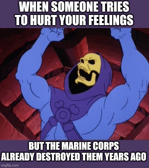 Skeletor | WHEN SOMEONE TRIES TO HURT YOUR FEELINGS; BUT THE MARINE CORPS ALREADY DESTROYED THEM YEARS AGO | image tagged in skeletor | made w/ Imgflip meme maker