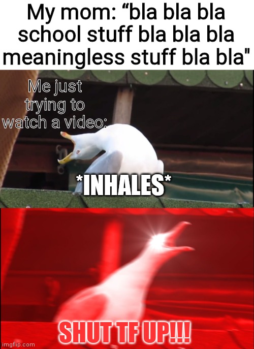 Me when my mom has an exessively long conversation with me | My mom: “bla bla bla school stuff bla bla bla meaningless stuff bla bla"; Me just trying to watch a video:; *INHALES*; SHUT TF UP!!! | image tagged in screaming bird | made w/ Imgflip meme maker
