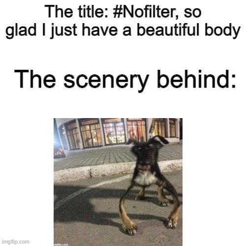 Just a picture of a dog. Nothing weird | The title: #Nofilter, so glad I just have a beautiful body; The scenery behind: | image tagged in dog | made w/ Imgflip meme maker