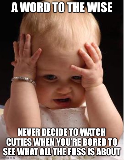 I will truly never recover | A WORD TO THE WISE; NEVER DECIDE TO WATCH CUTIES WHEN YOU’RE BORED TO SEE WHAT ALL THE FUSS IS ABOUT | image tagged in confused cutie | made w/ Imgflip meme maker