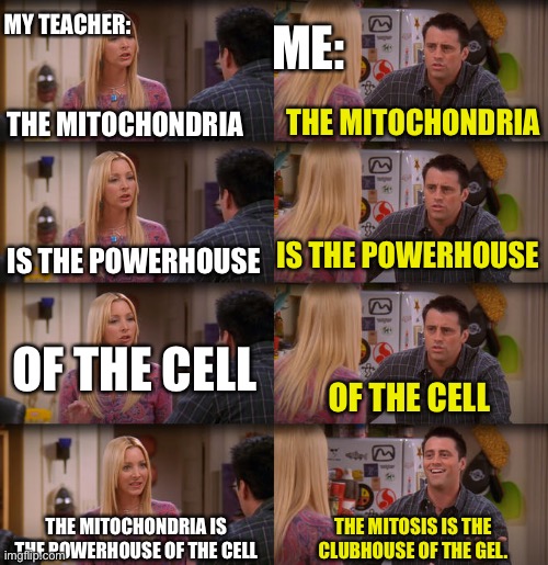 Me IRL | MY TEACHER:; ME:; THE MITOCHONDRIA; THE MITOCHONDRIA; IS THE POWERHOUSE; IS THE POWERHOUSE; OF THE CELL; OF THE CELL; THE MITOCHONDRIA IS THE POWERHOUSE OF THE CELL; THE MITOSIS IS THE CLUBHOUSE OF THE GEL. | image tagged in meme,school | made w/ Imgflip meme maker