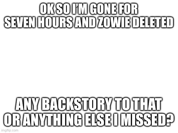 What on earth did I miss? | OK SO I’M GONE FOR SEVEN HOURS AND ZOWIE DELETED; ANY BACKSTORY TO THAT OR ANYTHING ELSE I MISSED? | image tagged in blank white template | made w/ Imgflip meme maker