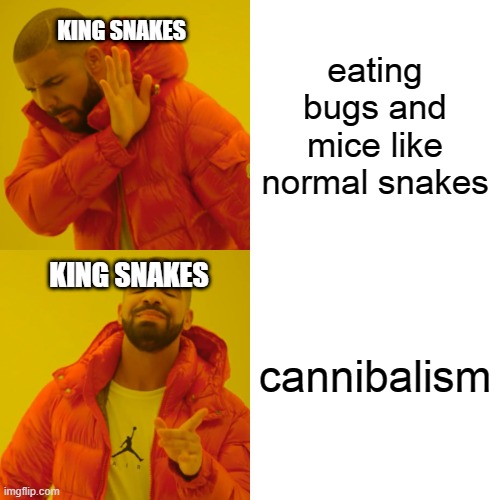 Look it up:) | eating bugs and mice like normal snakes; KING SNAKES; cannibalism; KING SNAKES | image tagged in memes,drake hotline bling,snake,snakes,cannibalism,facts | made w/ Imgflip meme maker