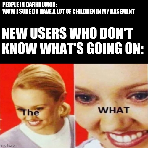 The What | PEOPLE IN DARKHUMOR:
WOW I SURE DO HAVE A LOT OF CHILDREN IN MY BASEMENT; NEW USERS WHO DON'T KNOW WHAT'S GOING ON: | image tagged in the what | made w/ Imgflip meme maker