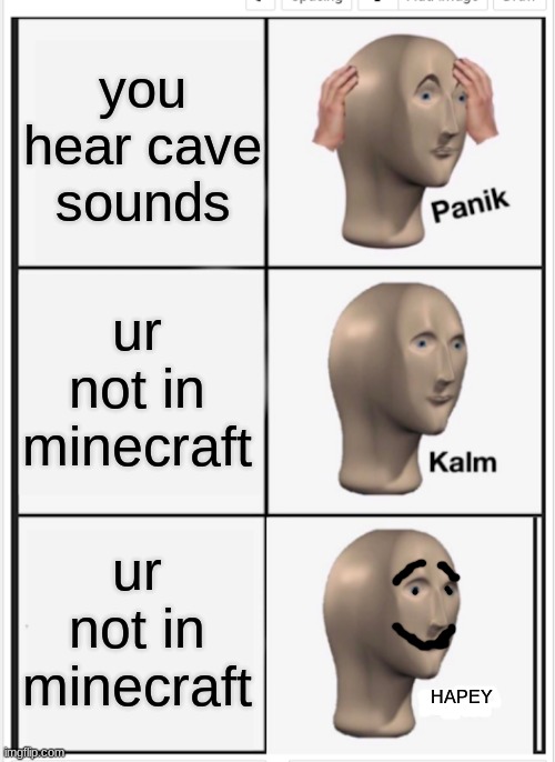 Panik Kalm Kalm | you hear cave sounds; ur not in minecraft; ur not in minecraft; HAPEY | image tagged in panik kalm kalm | made w/ Imgflip meme maker