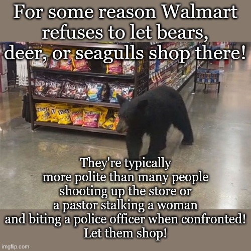 For some reason Walmart refuses to let bears, deer, or seagulls shop there! They're typically more polite than many people shooting up the store or a pastor stalking a woman and biting a police officer when confronted!
Let them shop! | made w/ Imgflip meme maker
