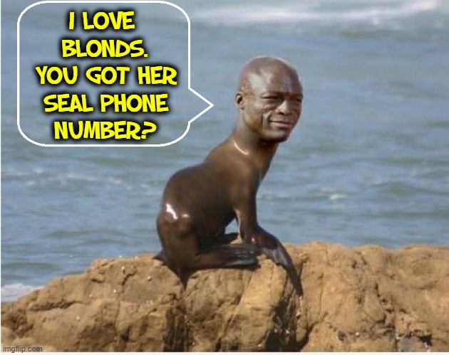 Seal the Seal is ready to Deal | I LOVE 
BLONDS.
YOU GOT HER
SEAL PHONE
NUMBER? | image tagged in vince vance,seals,memes,funny animal meme,cell phone,seal of approval | made w/ Imgflip meme maker