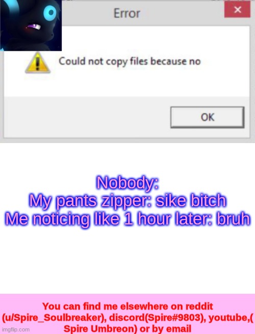 I'm just lucky my hoodie covers part of my pants- | Nobody:
My pants zipper: sike bitch
Me noticing like 1 hour later: bruh | image tagged in spire cncfnb template | made w/ Imgflip meme maker