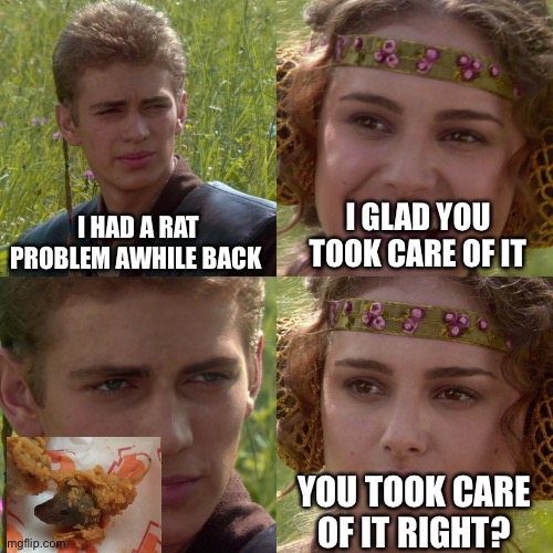 Yum | I HAD A RAT PROBLEM AWHILE BACK; I GLAD YOU TOOK CARE OF IT; YOU TOOK CARE OF IT RIGHT? | image tagged in anakin padme 4 panel | made w/ Imgflip meme maker