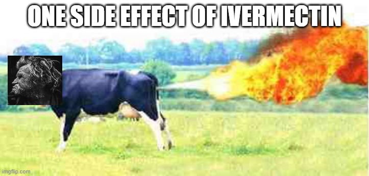 Ivermectin | ONE SIDE EFFECT OF IVERMECTIN | image tagged in side effects | made w/ Imgflip meme maker