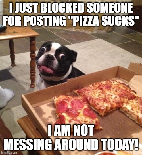 pizza dog |  I JUST BLOCKED SOMEONE FOR POSTING "PIZZA SUCKS"; I AM NOT MESSING AROUND TODAY! | image tagged in hungry pizza dog | made w/ Imgflip meme maker