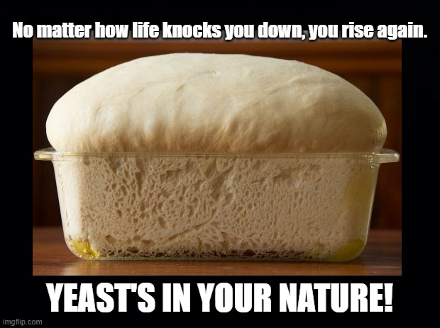 Rise again! | No matter how life knocks you down, you rise again. YEAST'S IN YOUR NATURE! | image tagged in bread,baking,pun,uplifting | made w/ Imgflip meme maker