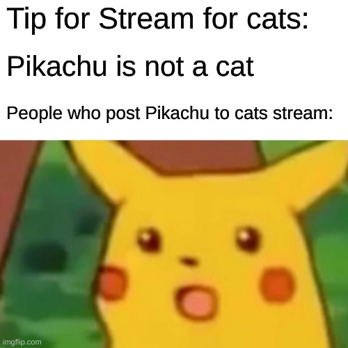 Surprised Pikachu | Tip for Stream for cats:; Pikachu is not a cat; People who post Pikachu to cats stream: | image tagged in memes,surprised pikachu,pikachu is not a cat | made w/ Imgflip meme maker
