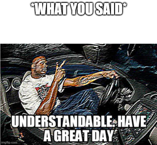UNDERSTANDABLE, HAVE A GREAT DAY | *WHAT YOU SAID* | image tagged in understandable have a great day | made w/ Imgflip meme maker