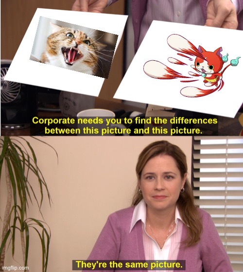 Angry cat | image tagged in memes,they're the same picture | made w/ Imgflip meme maker
